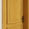 باب خشبي كلاسيكي مودرن بلون خشبي دافئ – بإطارات بارزة-  D6001